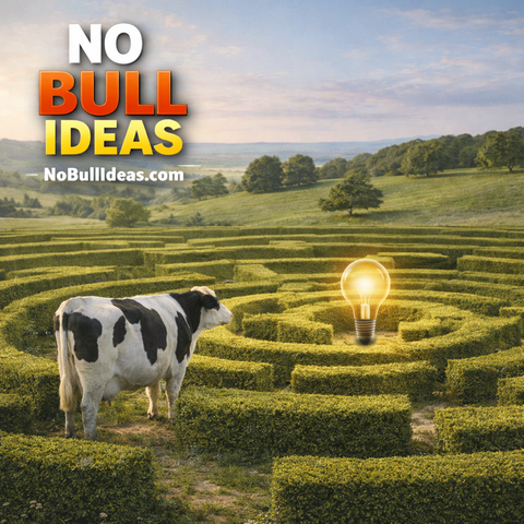 No Bull Ideas